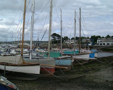 Sailboats moored in a marina with cloudy skies and buildings in the background.