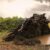 Fallen tree from a storm