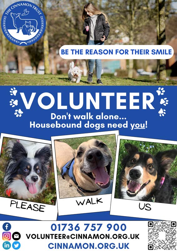 DW-Poster-Final-v2 Dog post for volunteers