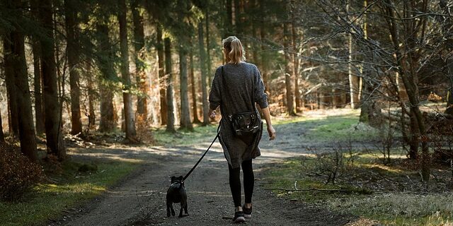 martindalsgaardsorensen-woman-6194660_640 walking dog in the woods along a path